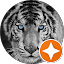 William Healey Avatar
